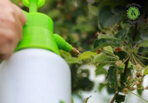 Növényvédőszer webáruház